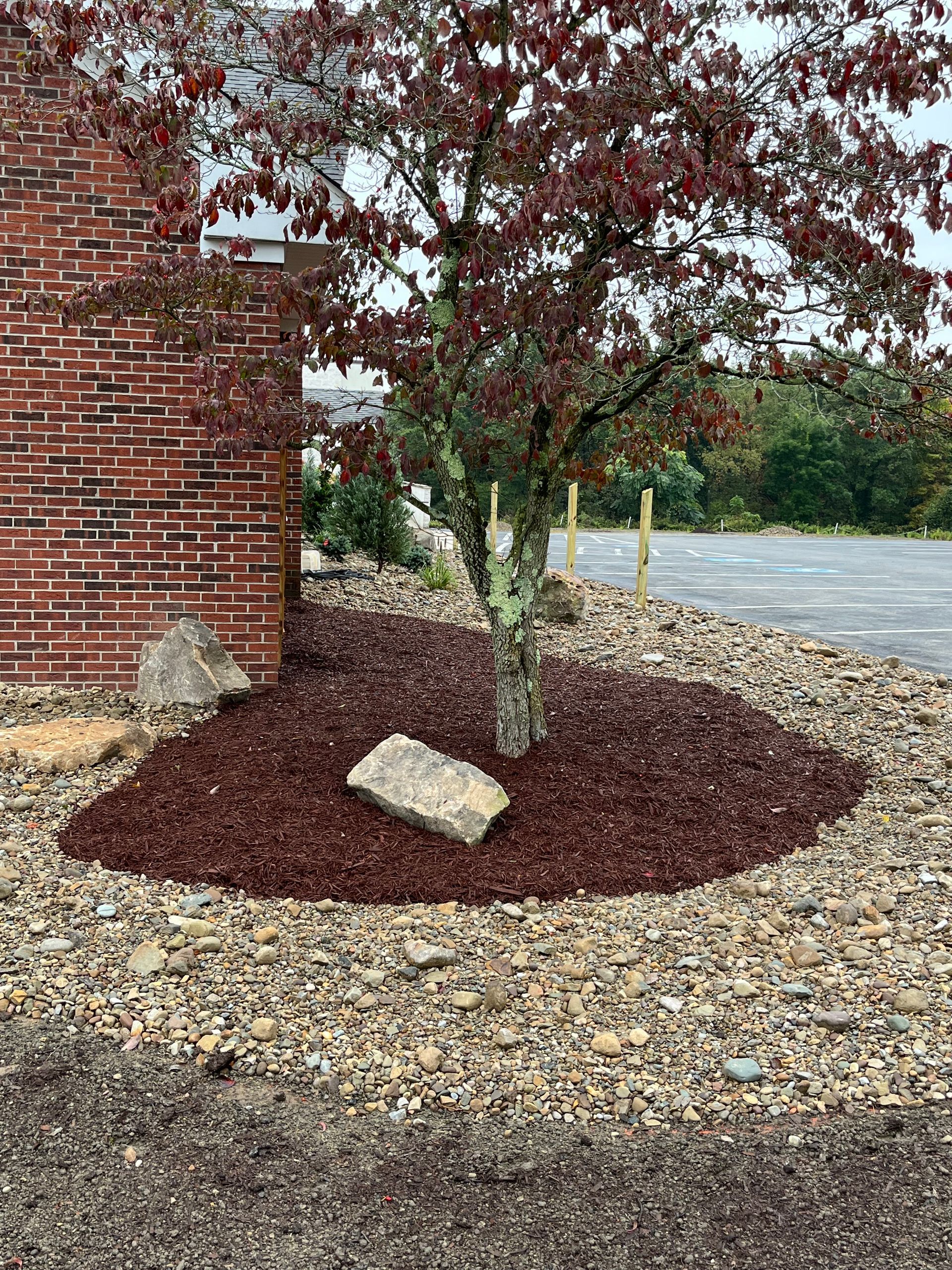 A tree is sitting in a pile of mulch in front of a brick building.