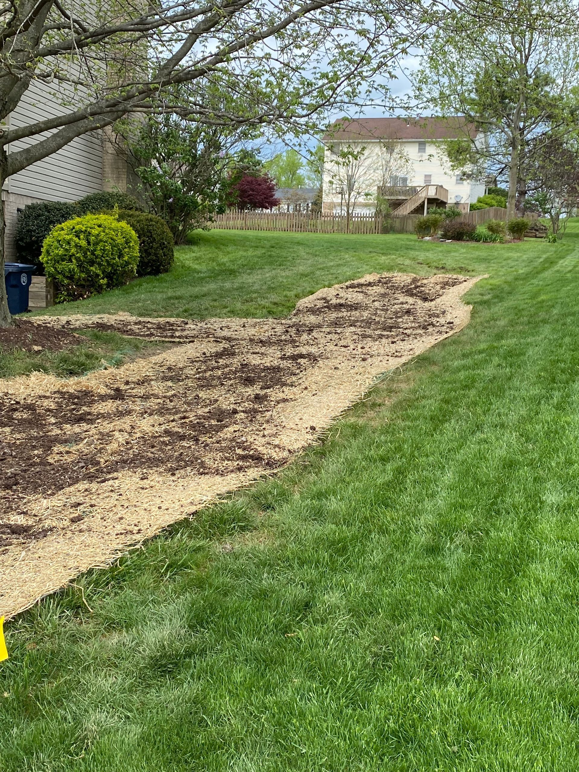 A lush green lawn with a path leading to a house.