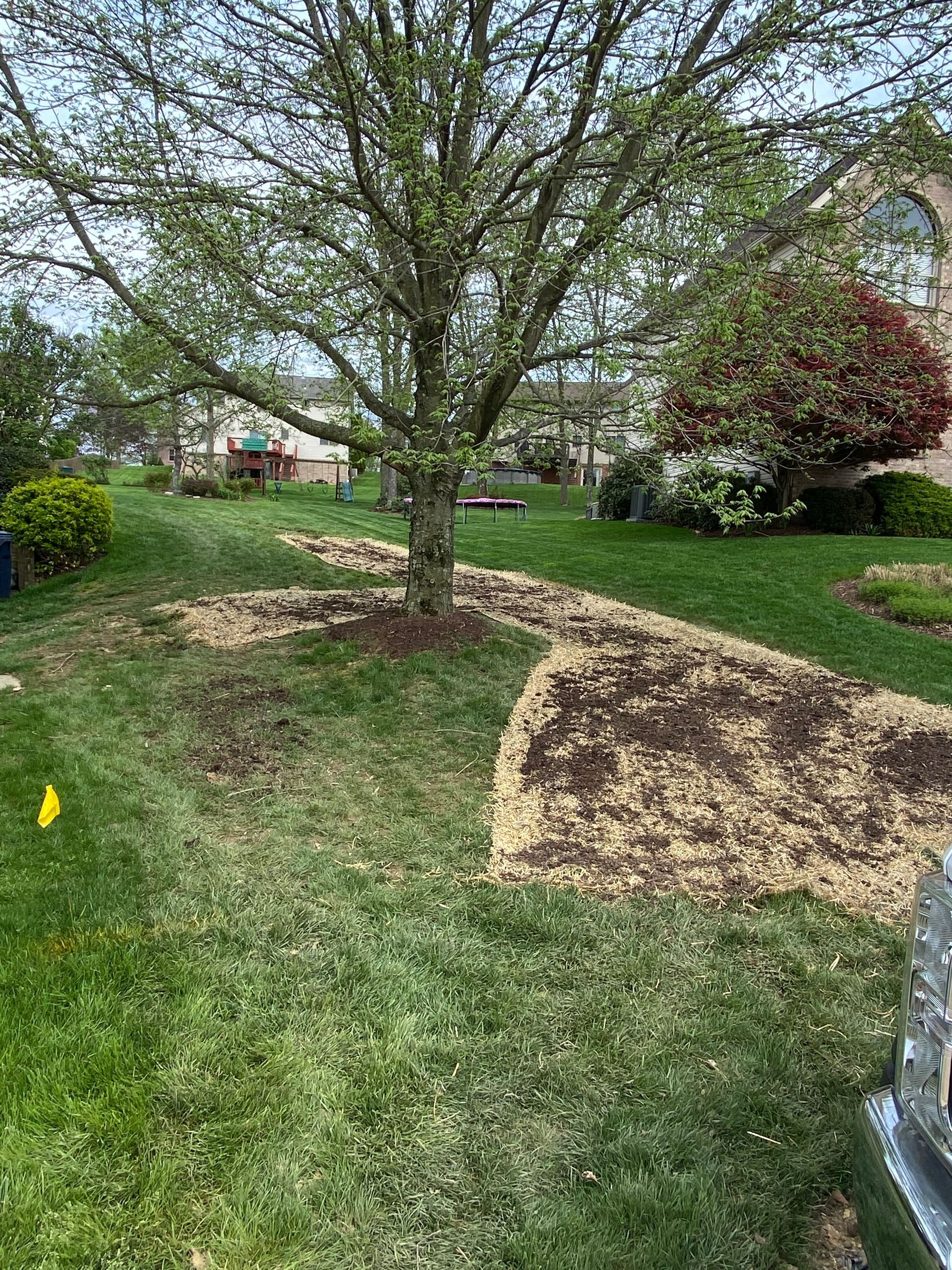 A car is parked in a yard next to a tree.