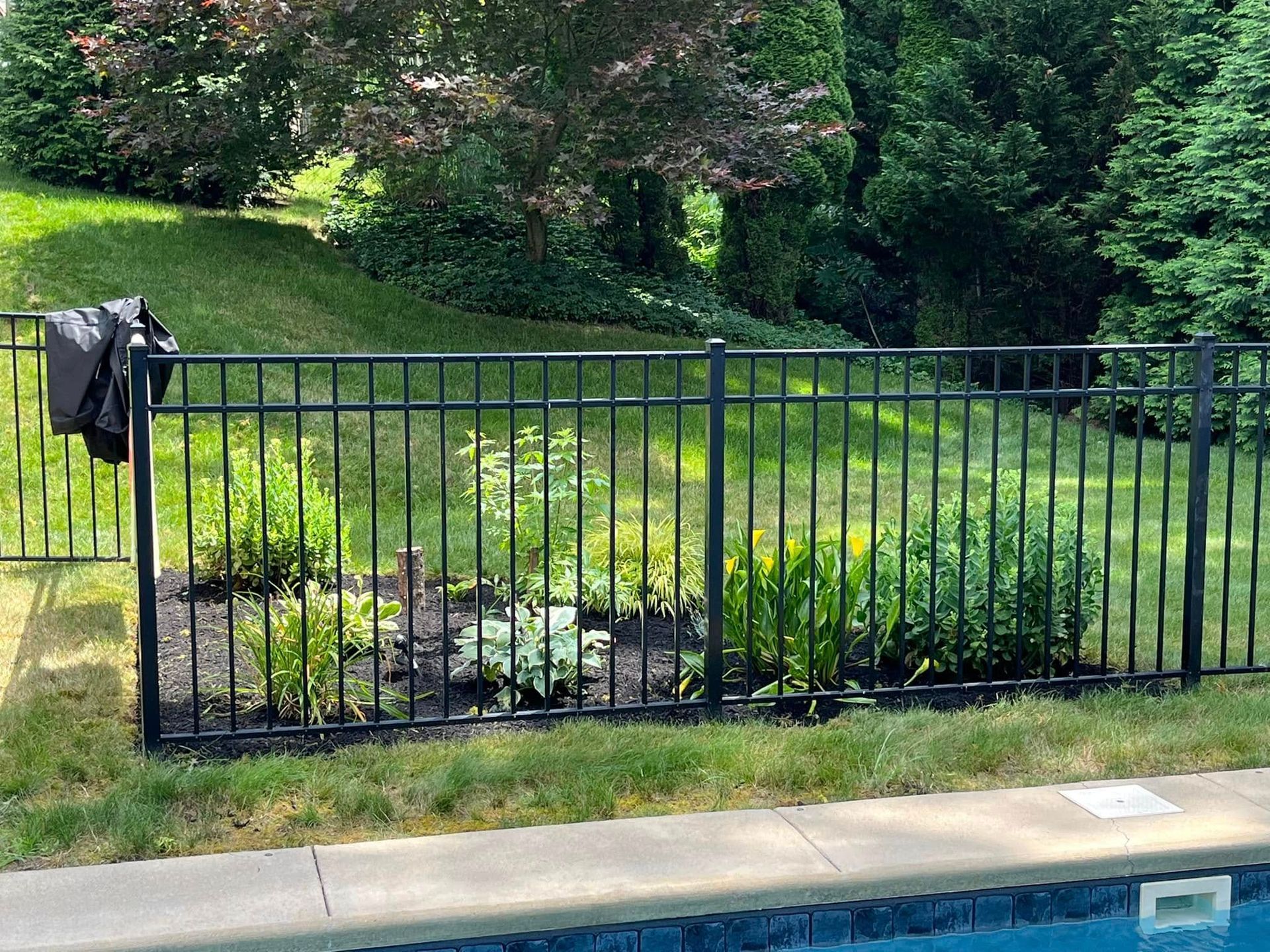 A black metal fence surrounds a swimming pool in a backyard.
