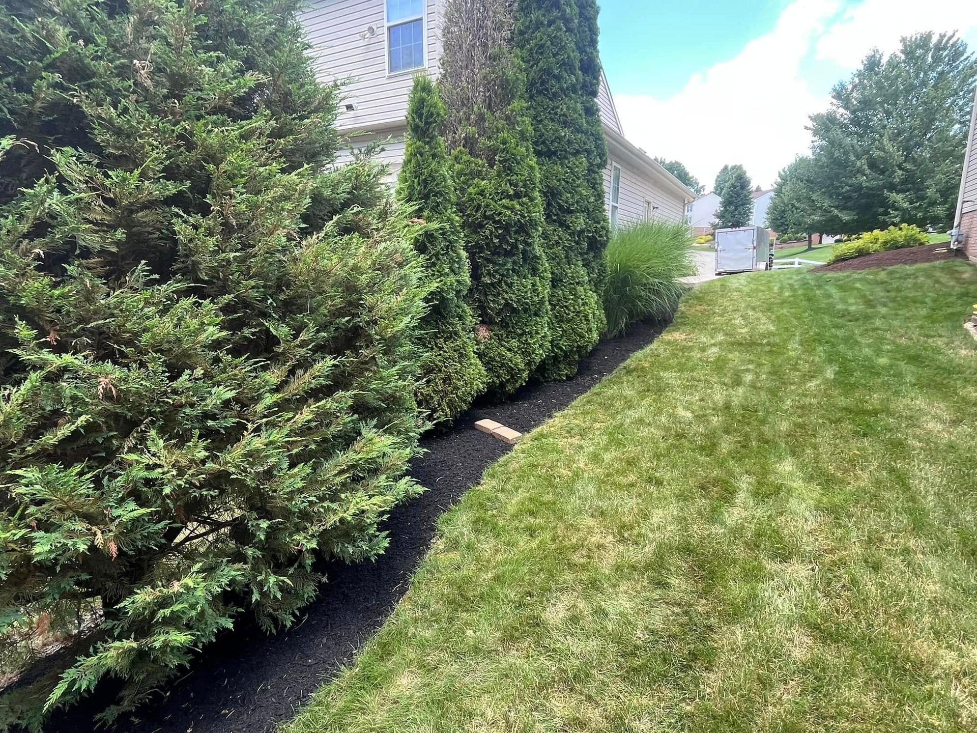 A lush green lawn with trees and bushes in front of a house.