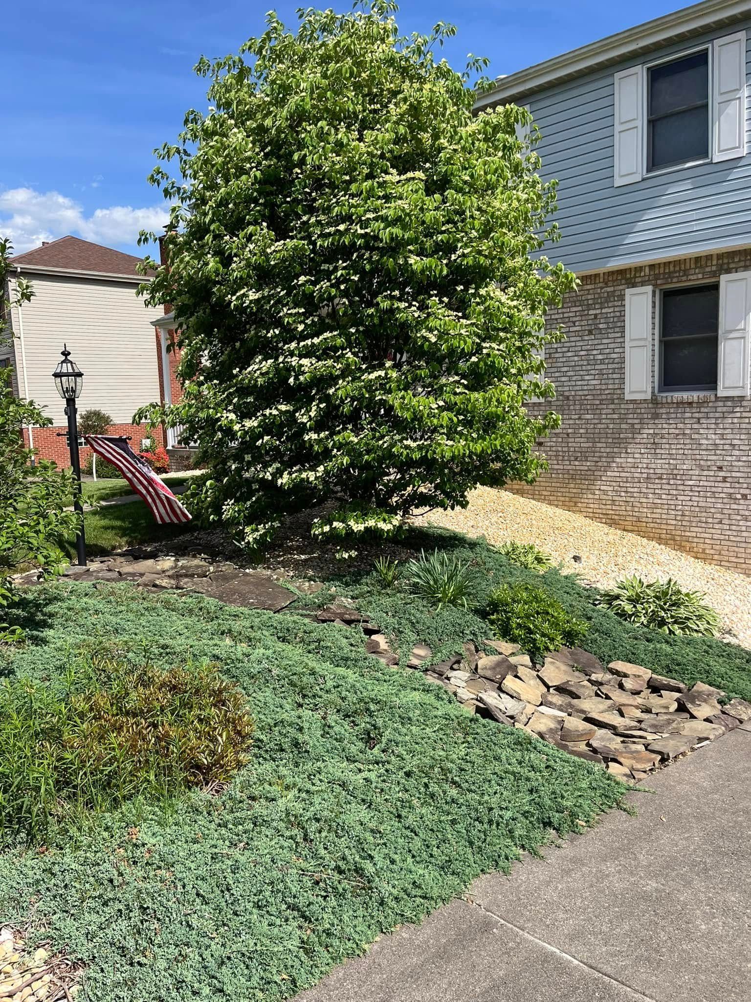 A house with a tree in front of it and a flag in the yard.