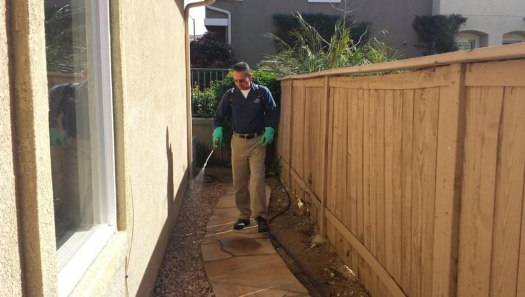A man is spraying a fence with a sprayer.