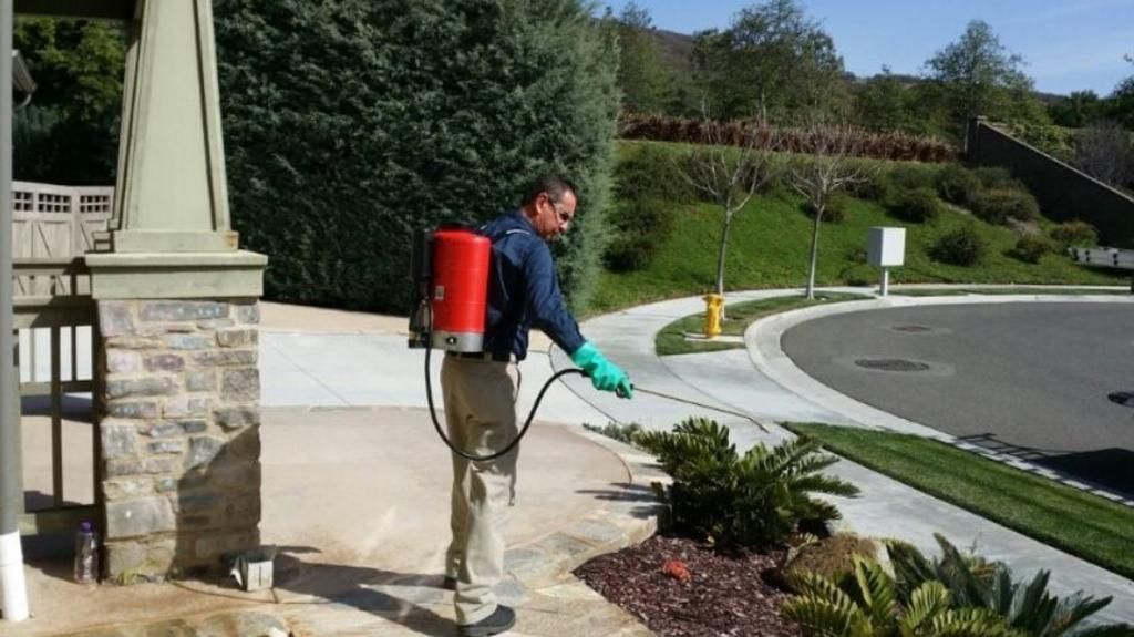 A man spraying a lawn with a backpack sprayer.