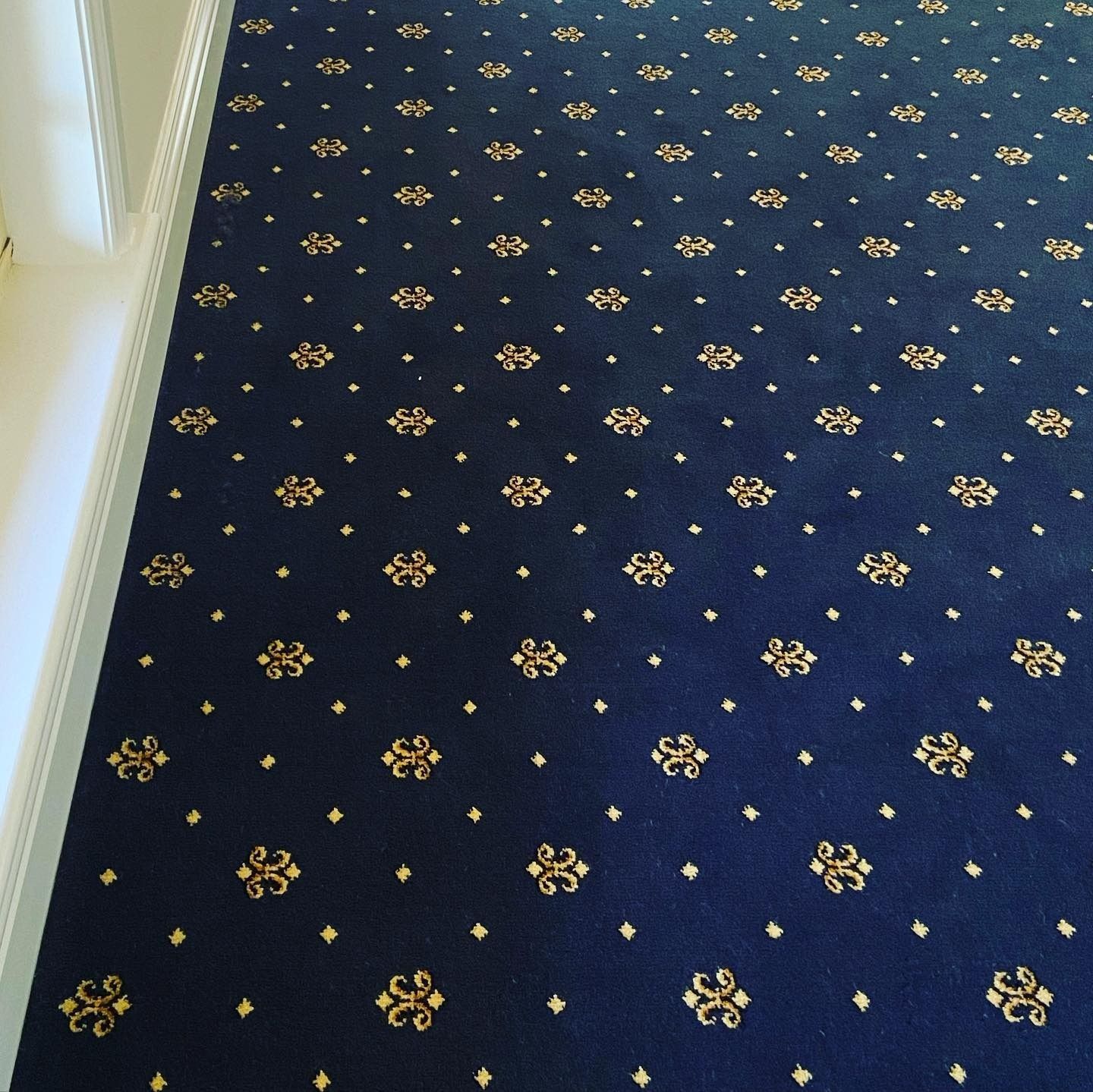 Navy Blue Carpet With a Symmetrical Pattern