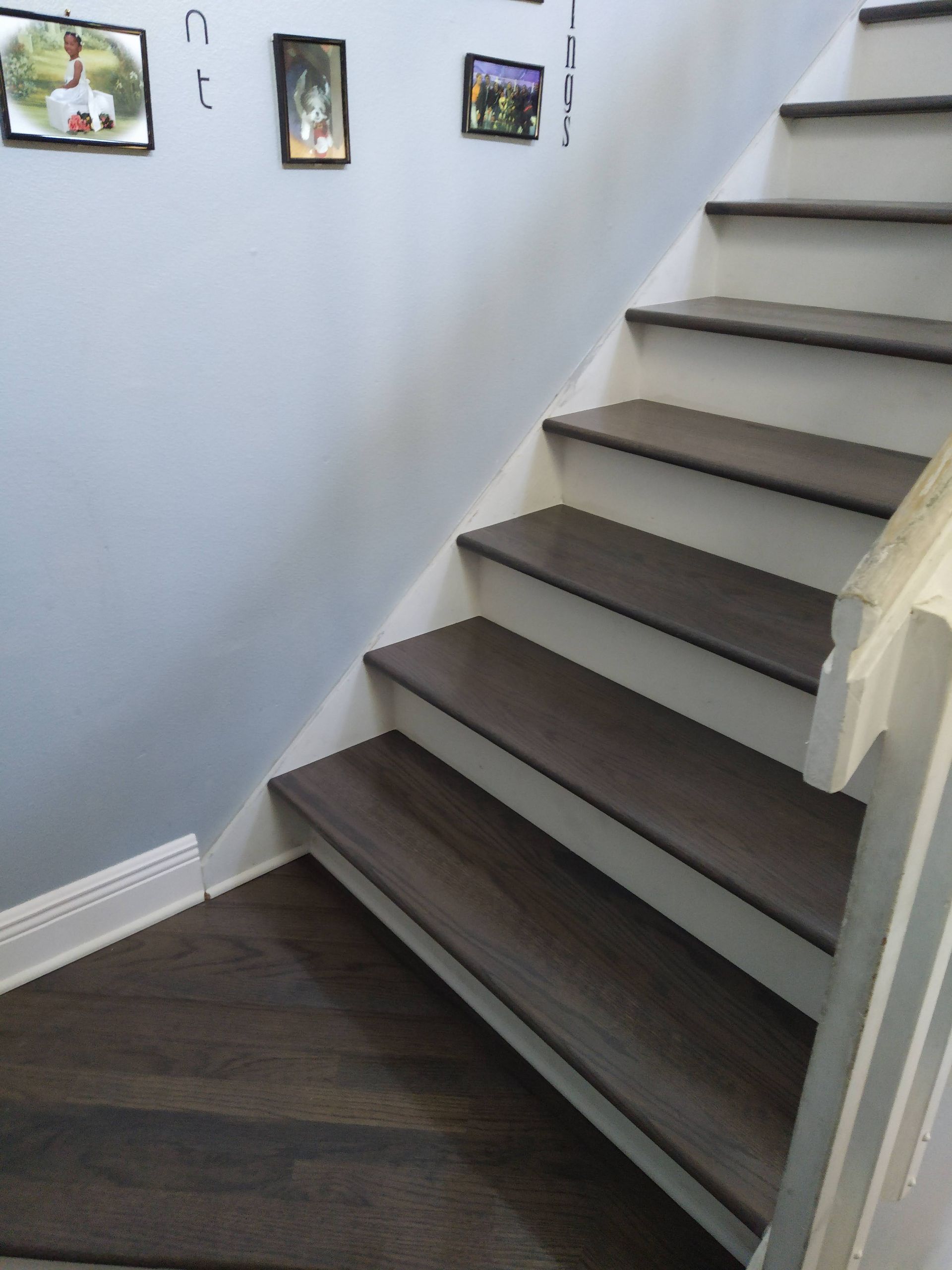 A set of stairs with pictures on the wall behind them