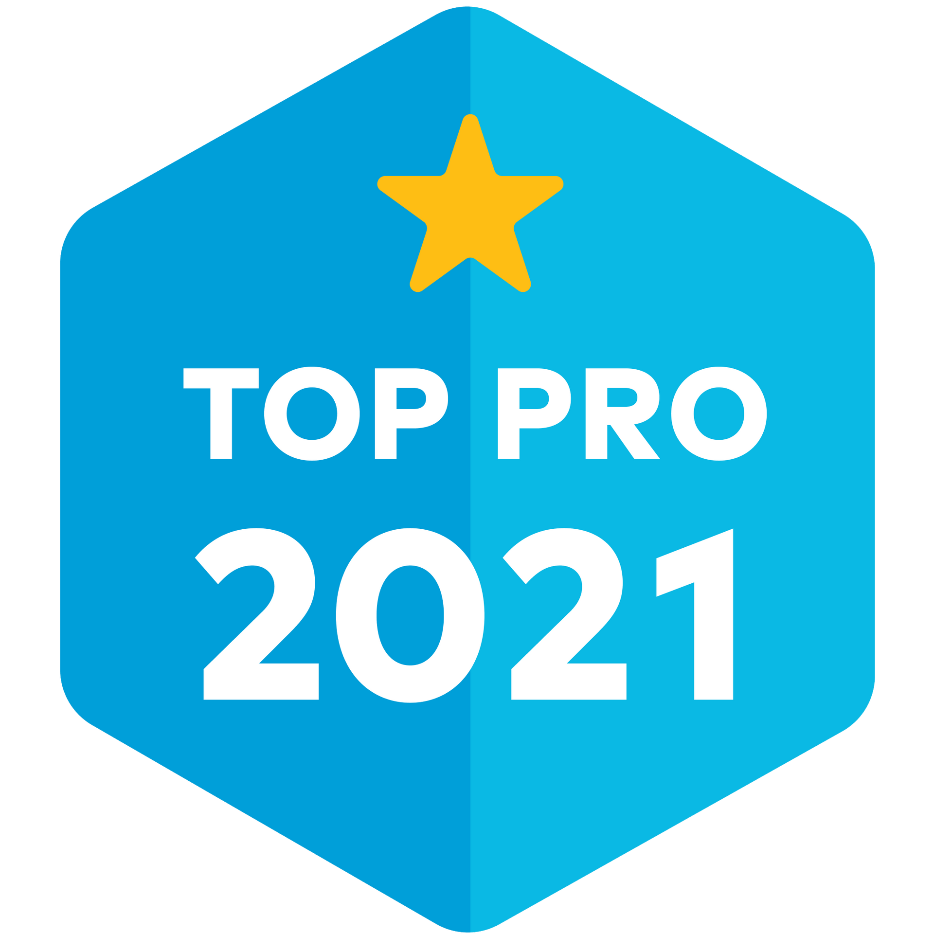 Top Pro badge 2021