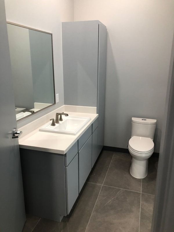 A bathroom with a sink , toilet and mirror.