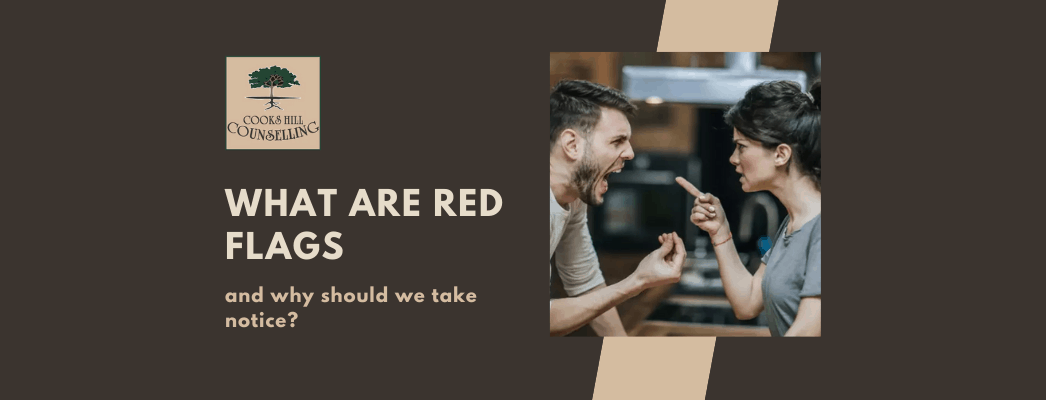 What Are Red Flags And Why Should We Take Notice