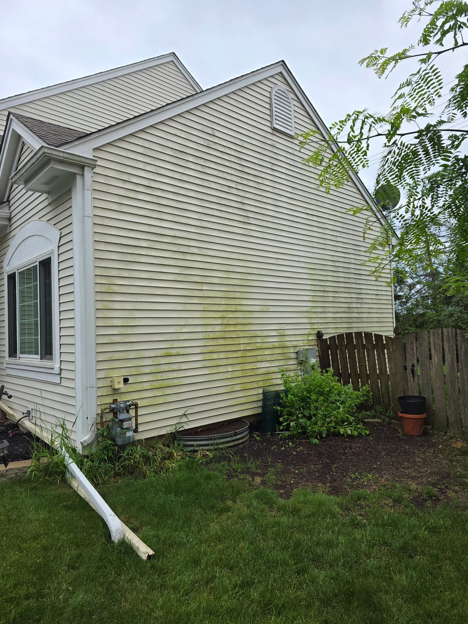 White house with algae streaks on the siding, surrounded by green grass, shrubs, and a brown fence.