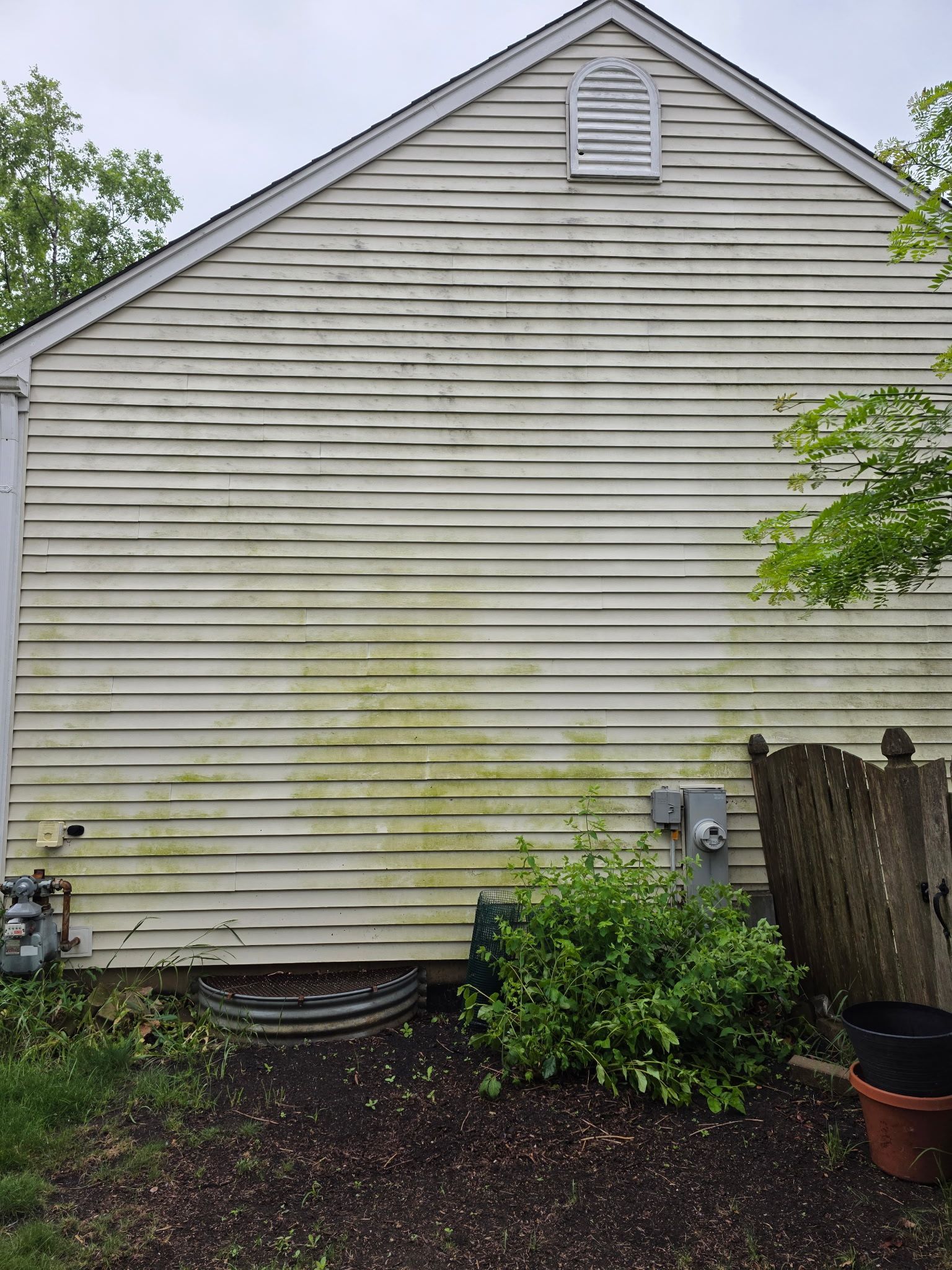 White siding covered in green algae; a gas meter, electrical boxes, and a fence are nearby.