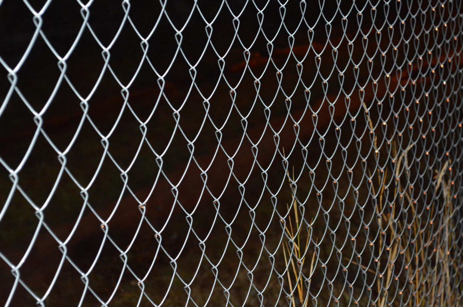 chain-link fence