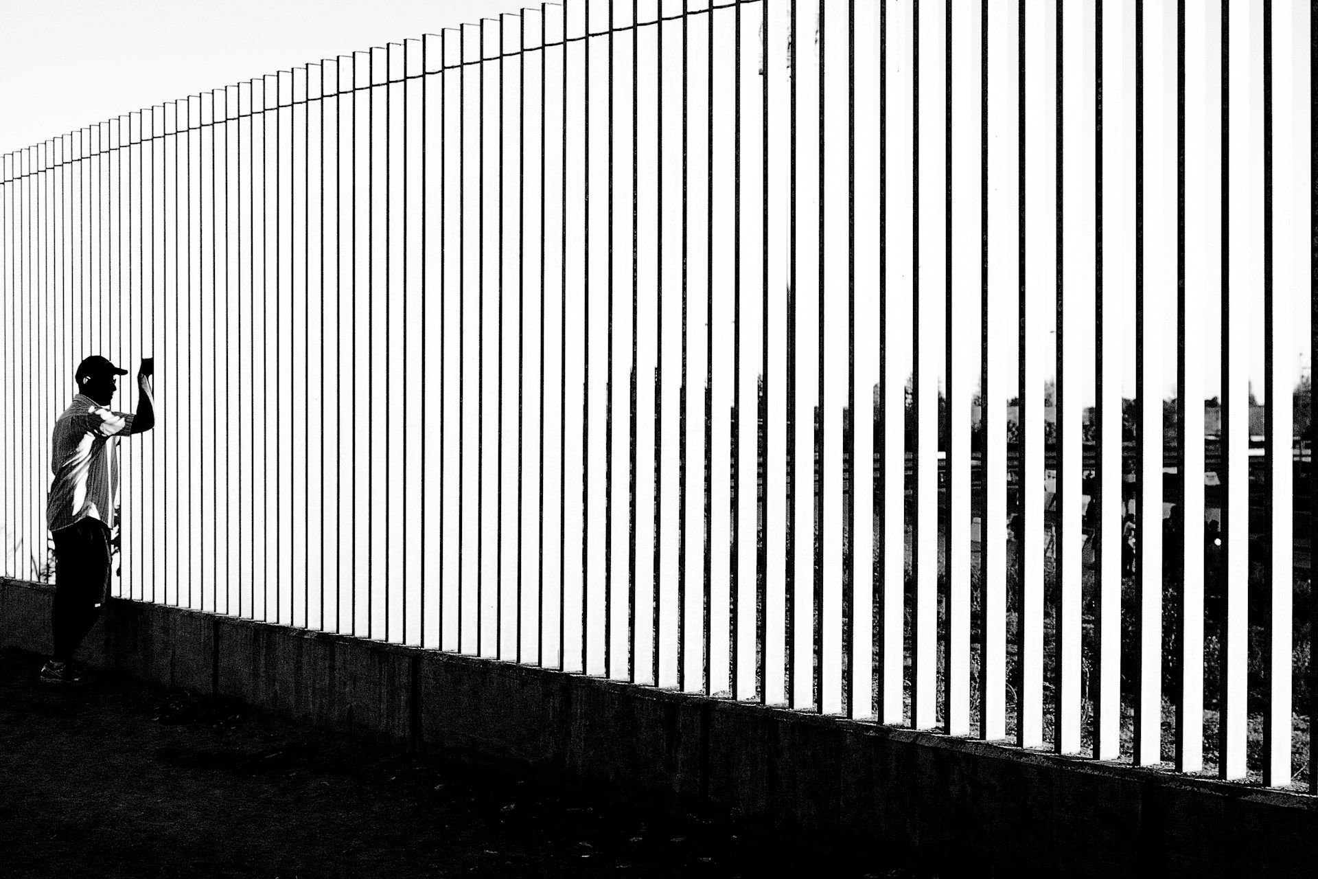 fence