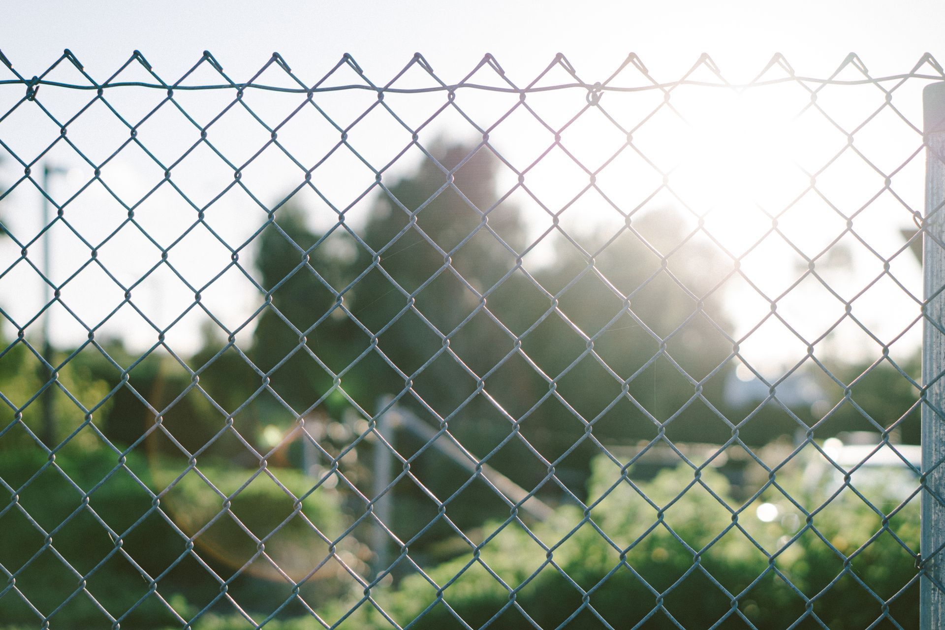 Chain Link Fences