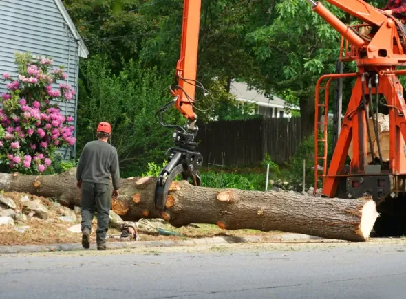 Yellow excavator filling a trench with gravel.