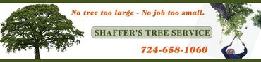 Shaffer's Tree Service banner with a tree and a person pruning branches. Includes a phone number.