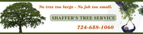 Shaffer's Tree Service banner with a tree and a person pruning branches. Includes a phone number.