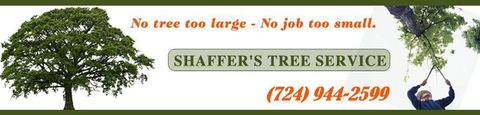 Shaffer's Tree Service banner with a tree and a person pruning branches. Includes a phone number.