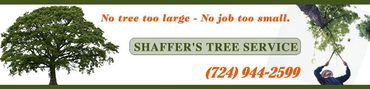 Shaffer's Tree Service banner with a tree and a person pruning branches. Includes a phone number.