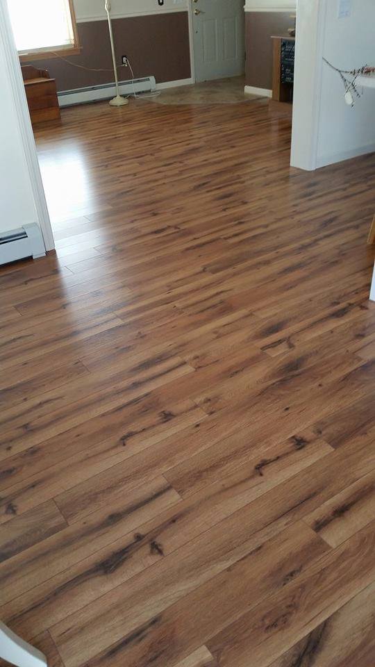 A dog is standing on a wooden floor in a living room.