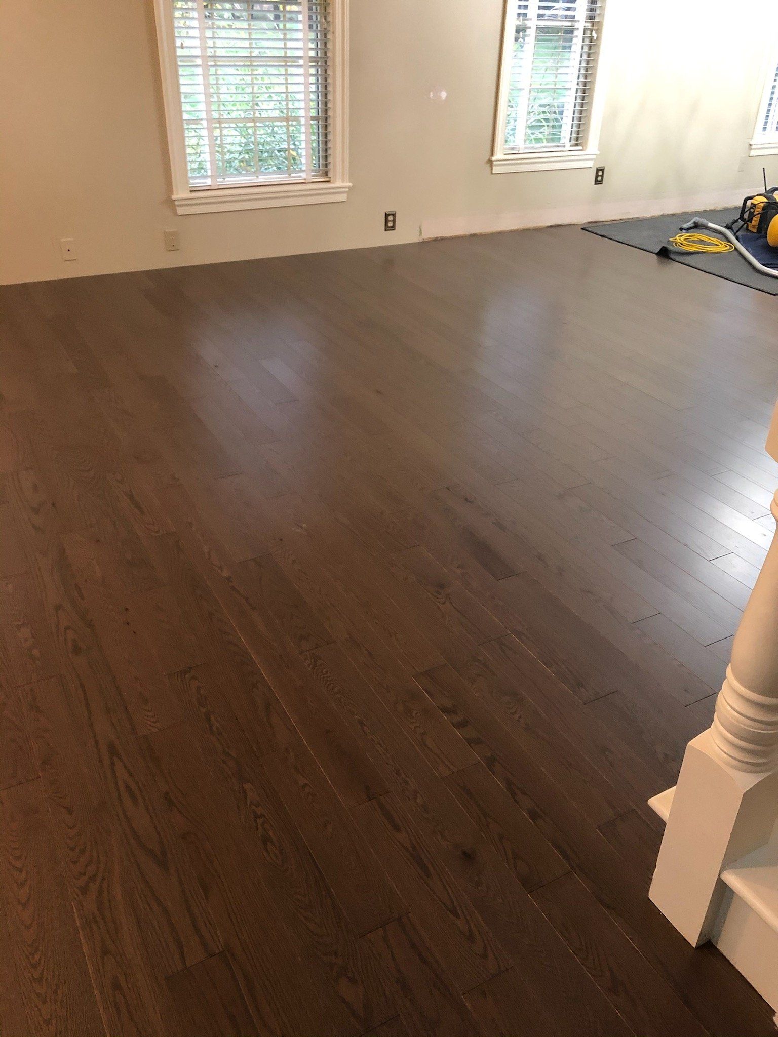 A living room with a wooden floor and two windows.