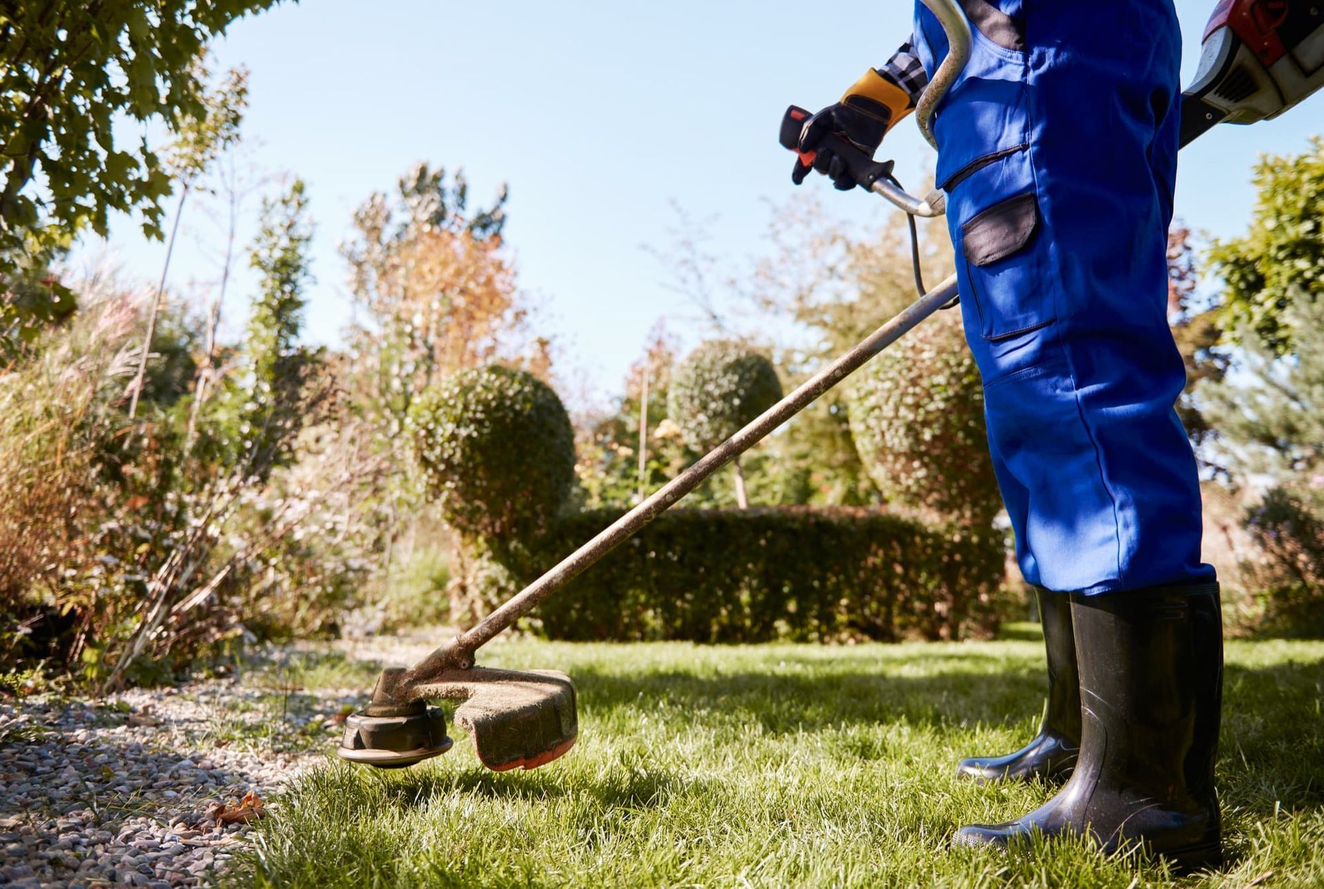 Person in blue work suit and boots uses a weed wacker on a lawn in a sunny yard.
