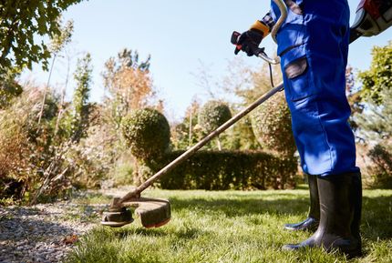 Person in blue work suit using a weed whacker on a grassy lawn; sunny day.