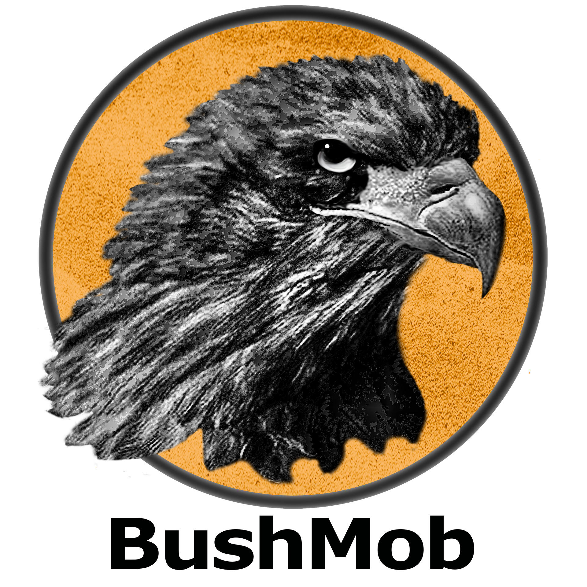 A circular logo featuring a black-and-white eagle head on a textured orange background, with 