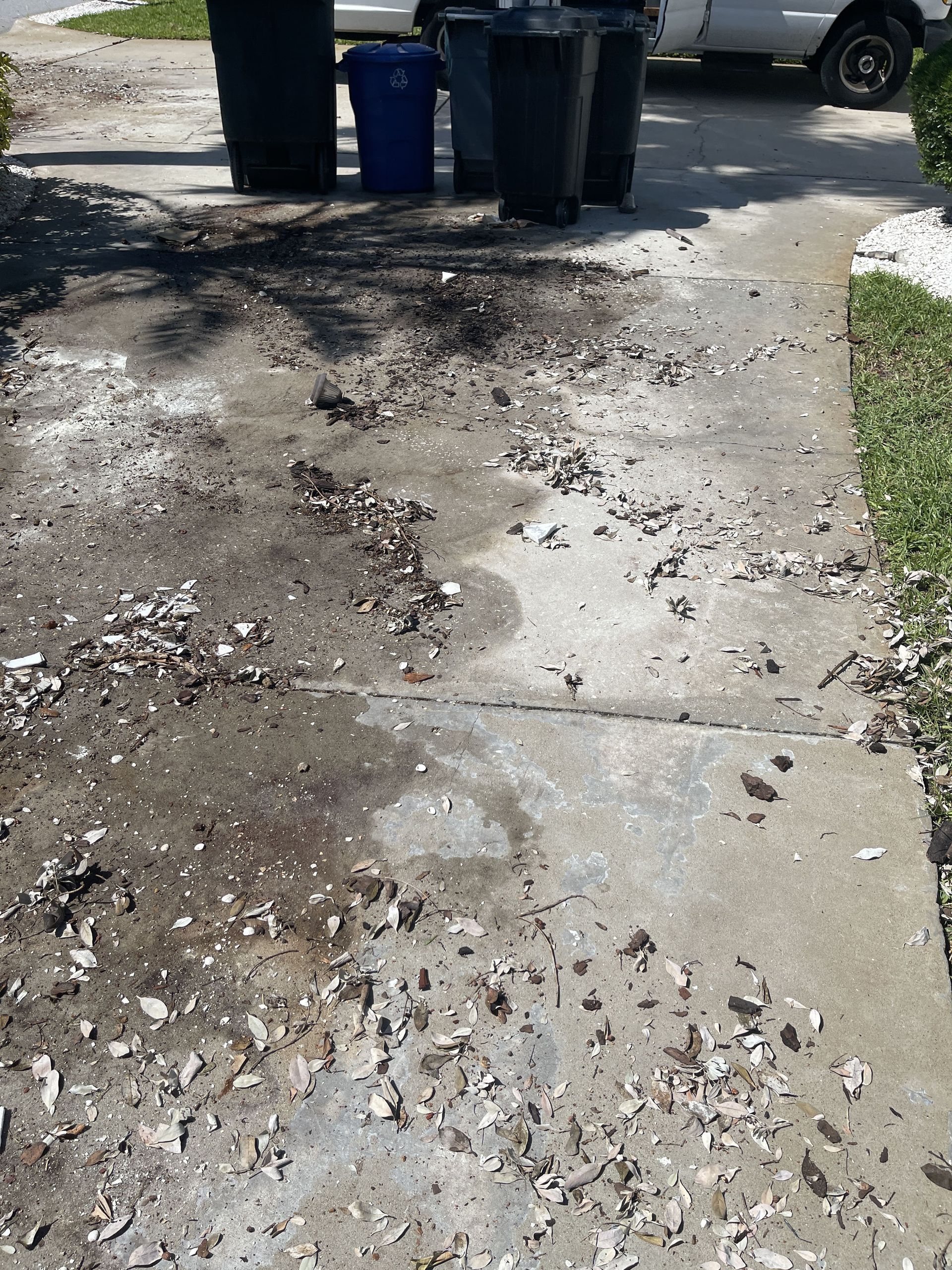 Cleaned up after photo of storm debris