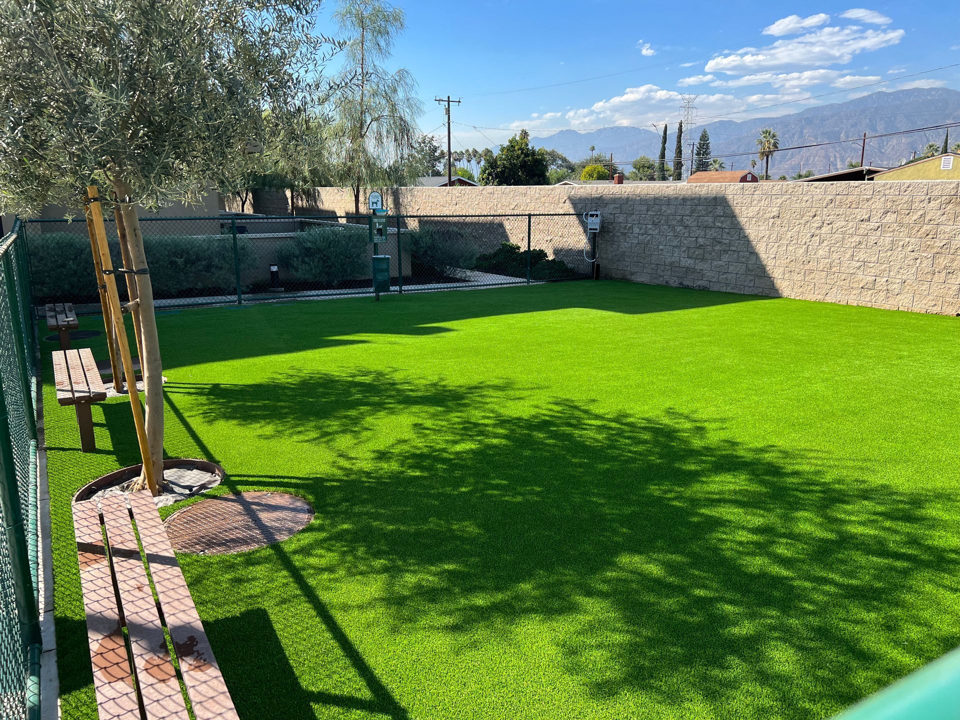 Dog park Whittier with artificial pet turf