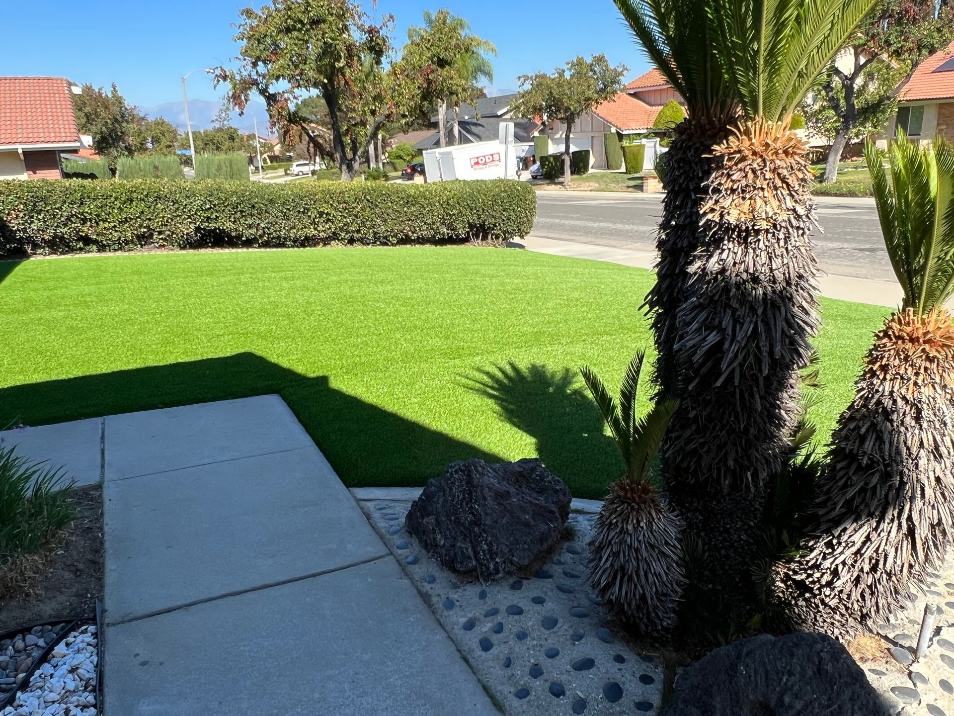 artificial grass in a front yard