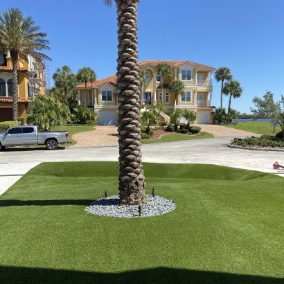 palm tree in mixed rock planter