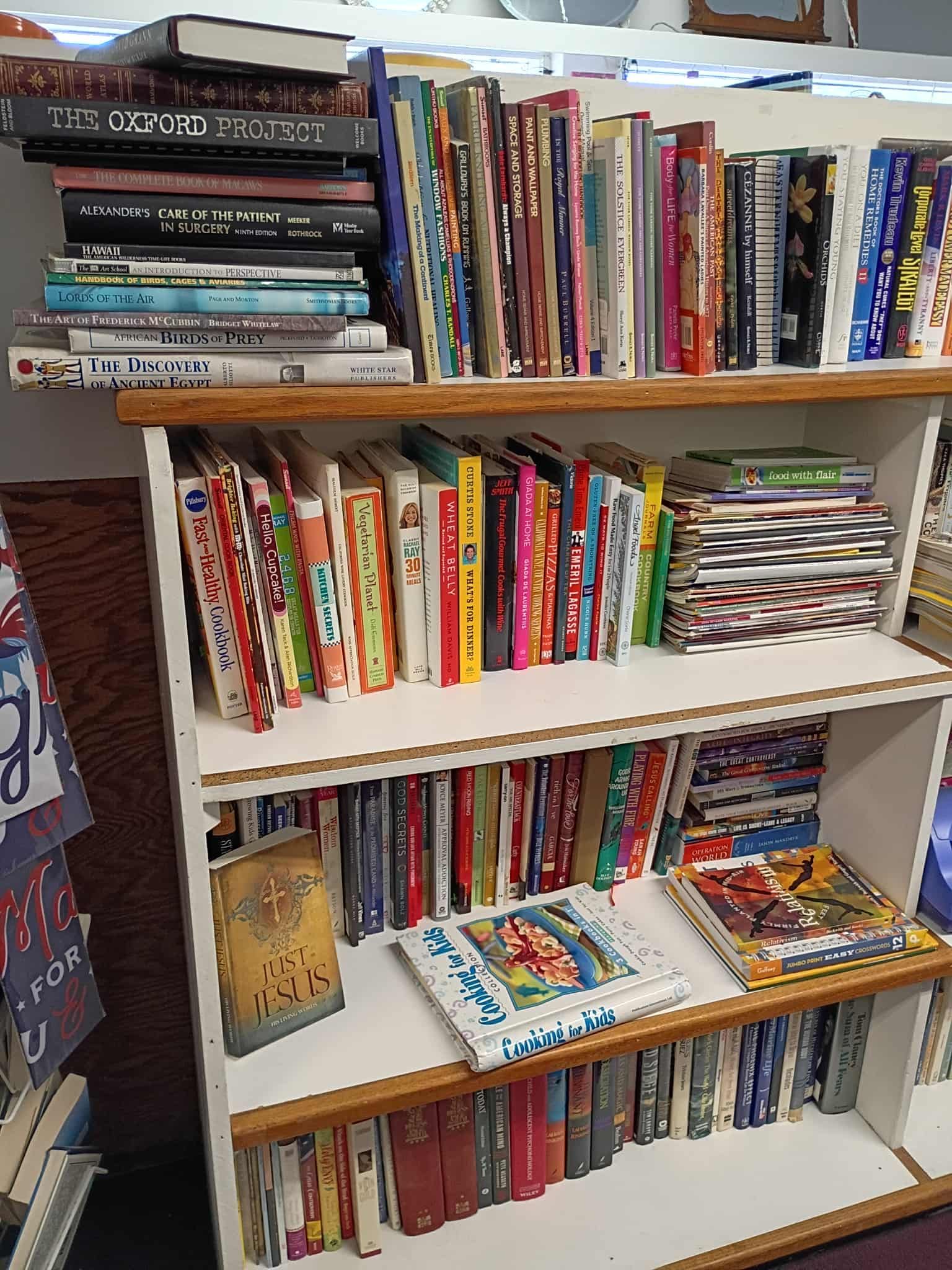 Bookshelves filled with colorful books of various sizes, inside a building.