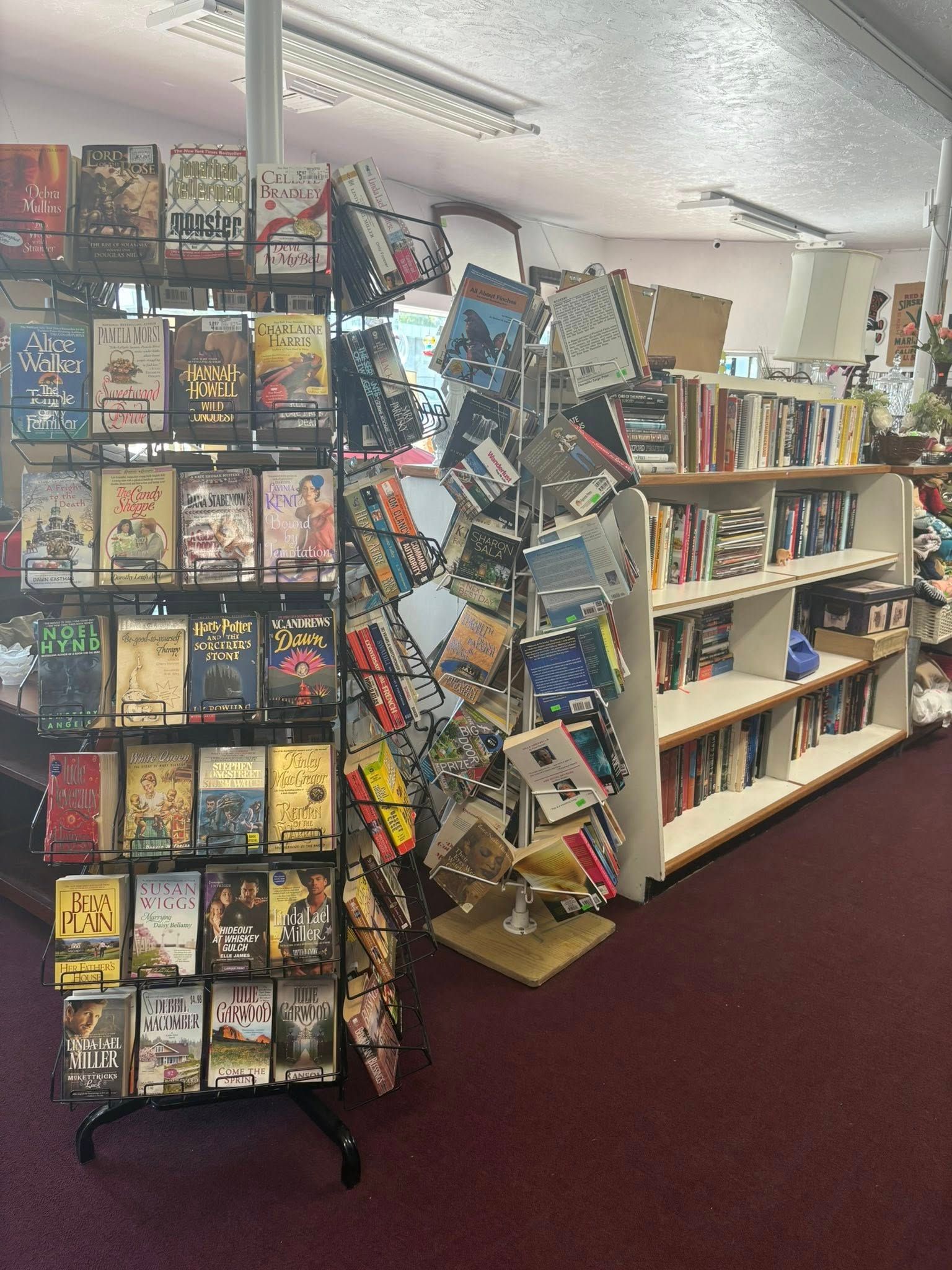 Shelves of DVDs and books in a store with red carpet.