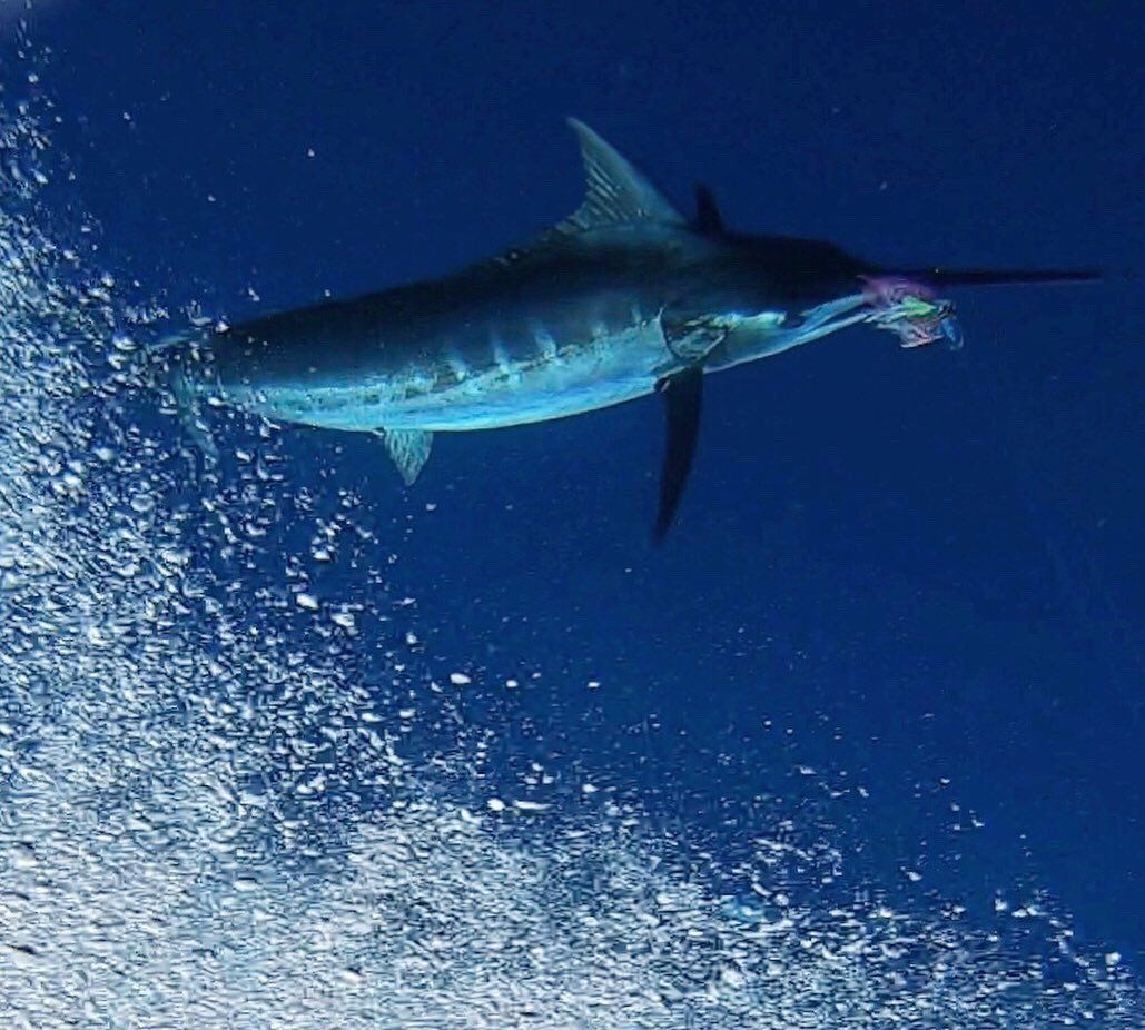 FULL DAY OAHU FISHING CHARTER