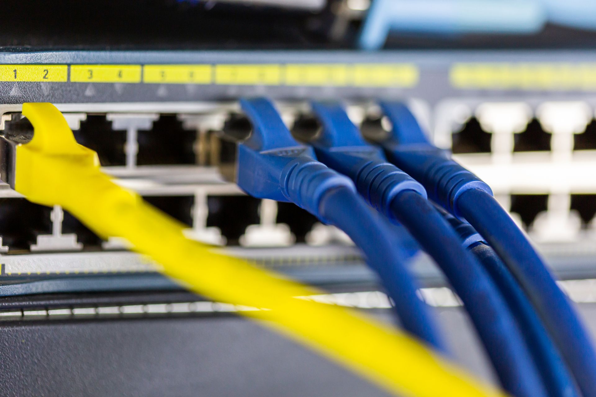 Close-up of a network switch with yellow and blue ethernet cables plugged into ports.