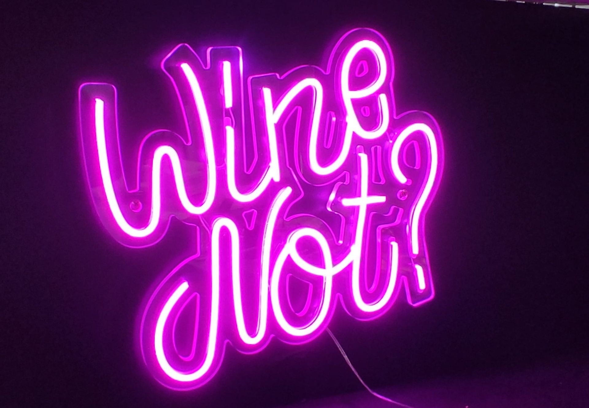 Flex led ed insegne luminose