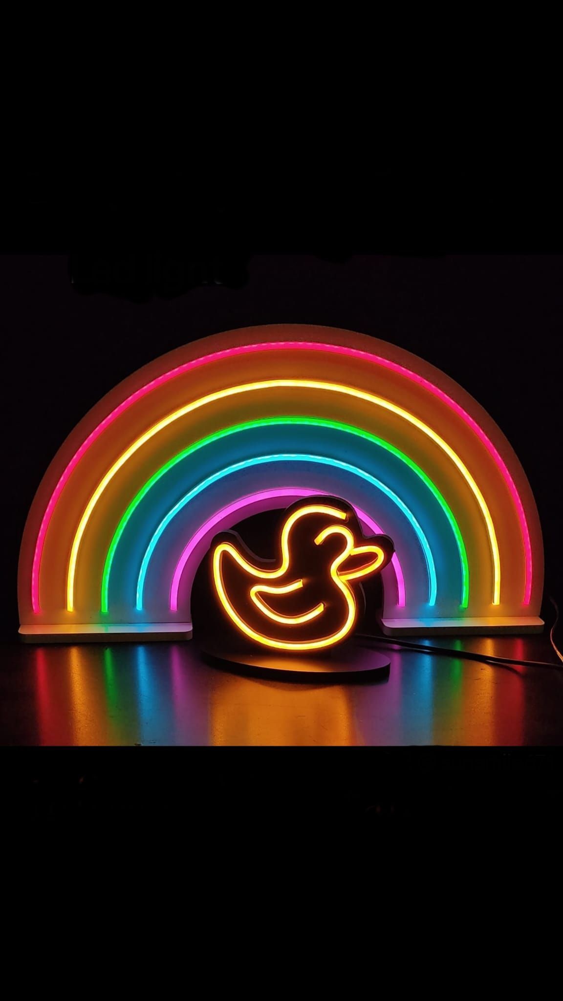 Flex led ed insegne luminose