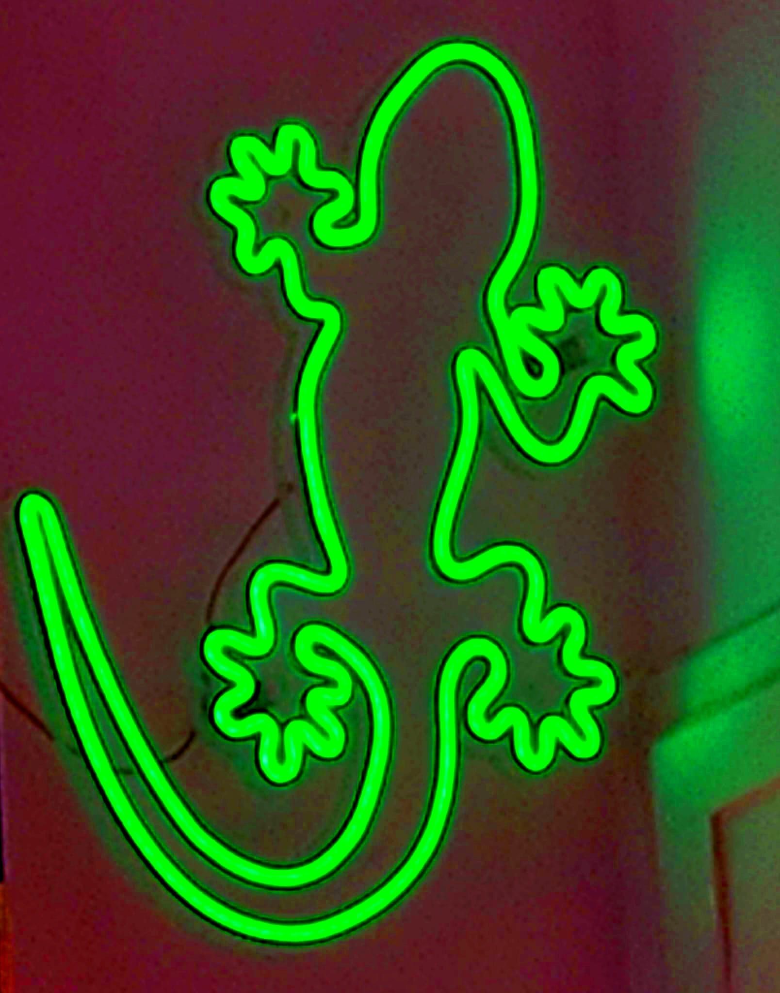 Flex led ed insegne luminose