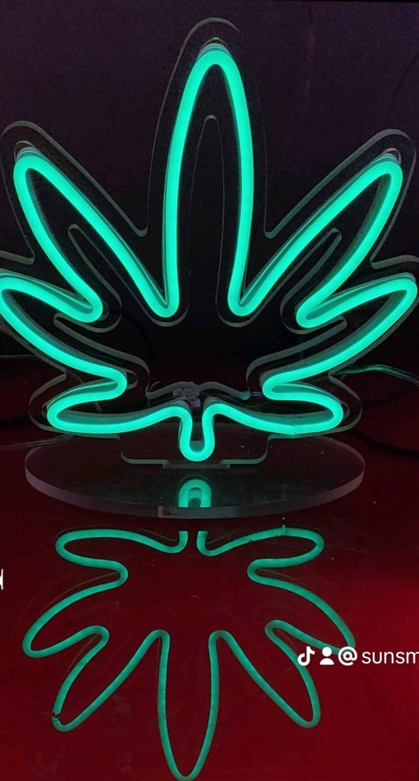 Flex led ed insegne luminose