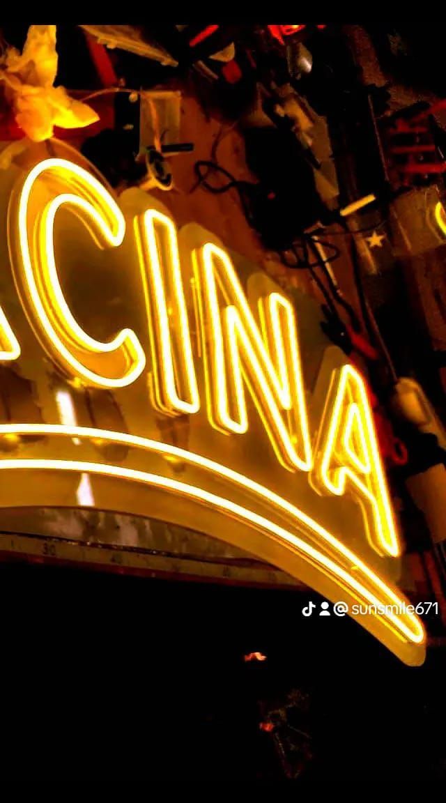 Flex led ed insegne luminose