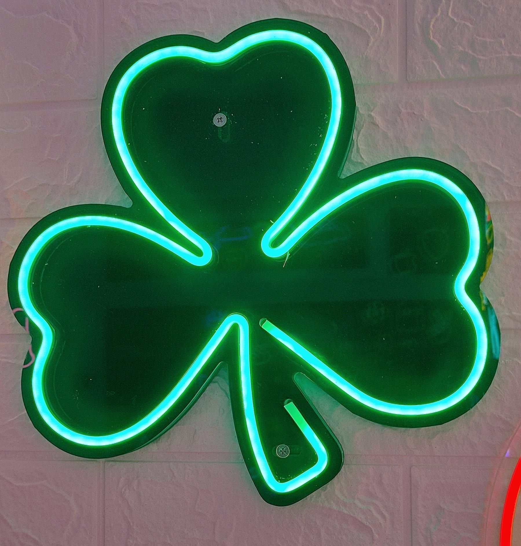 Flex led ed insegne luminose