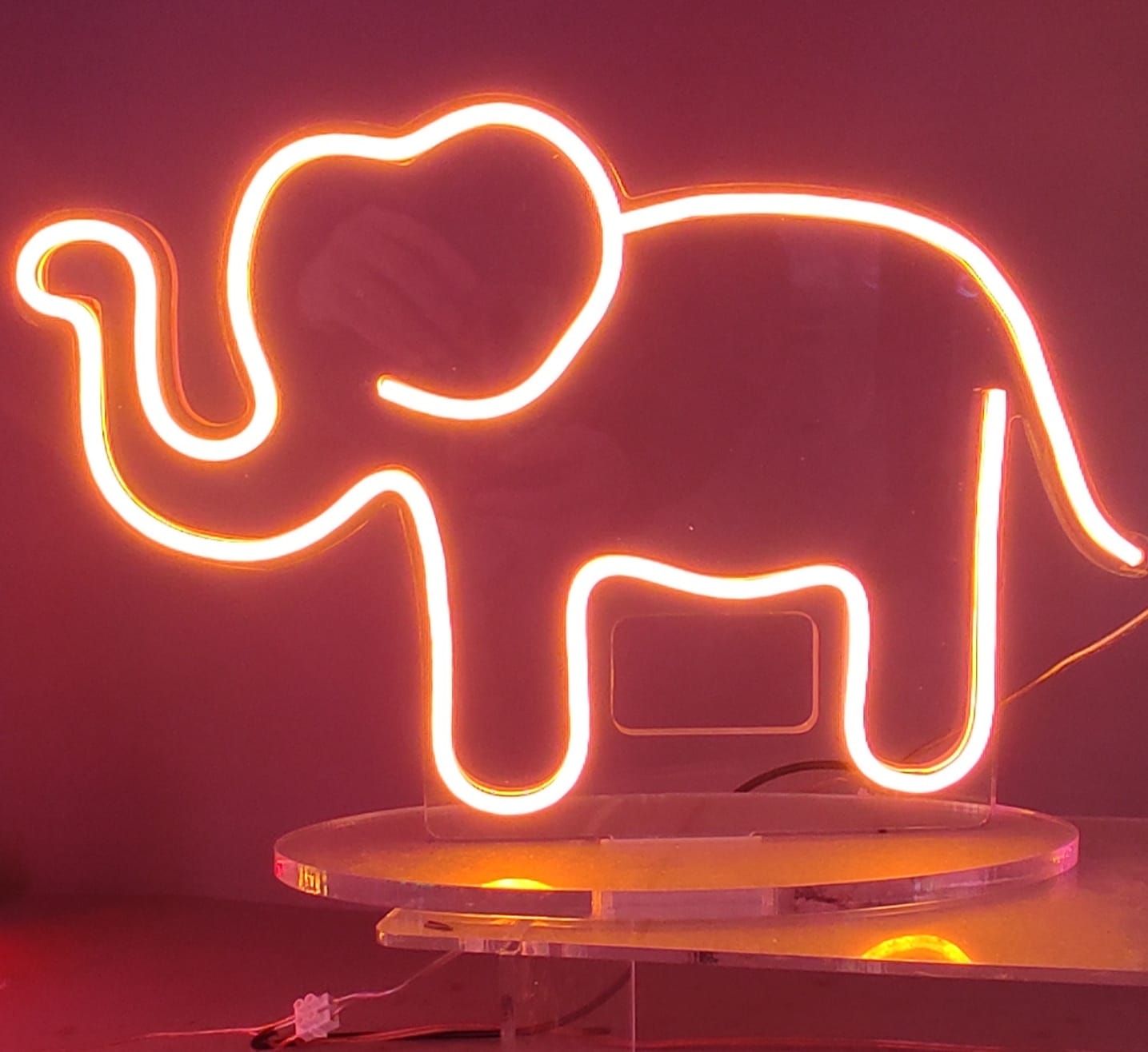 Flex led ed insegne luminose