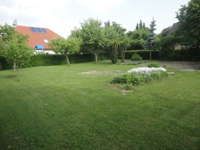 Ein üppiger grüner Garten mit einem Haus im Hintergrund