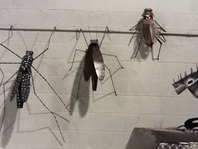 Insects — Art Gallery in Staten Island, NY