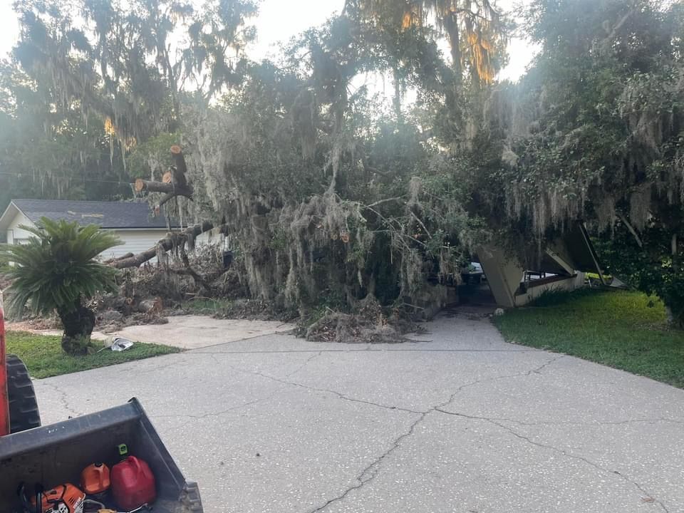 Land Clearing Jacksonville