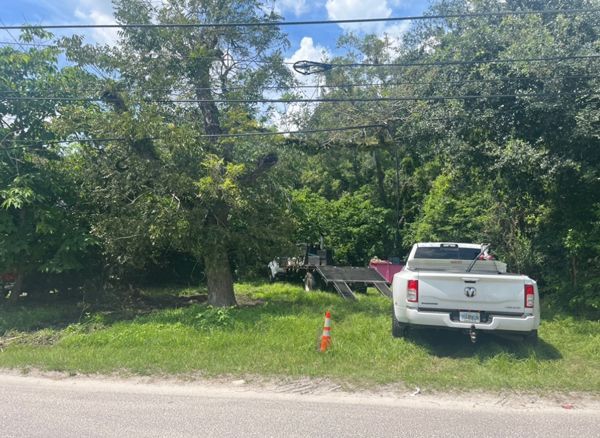 Jacksonville Land Clearing Services