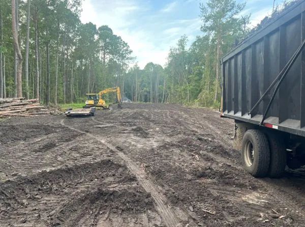 Jacksonville Land Clearing Services