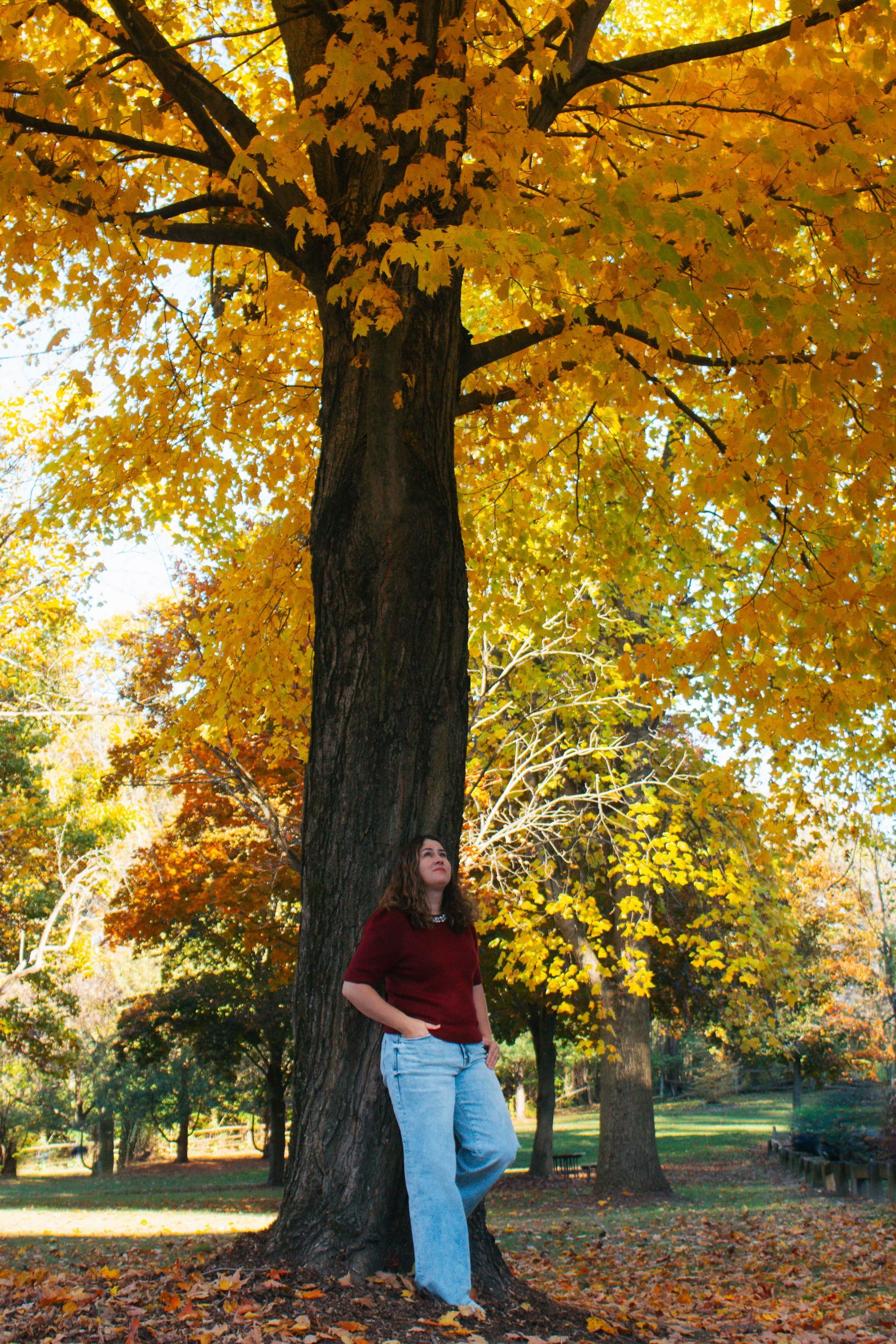 Person in jeans and red shirt leans against a tall tree with yellow leaves in a park.