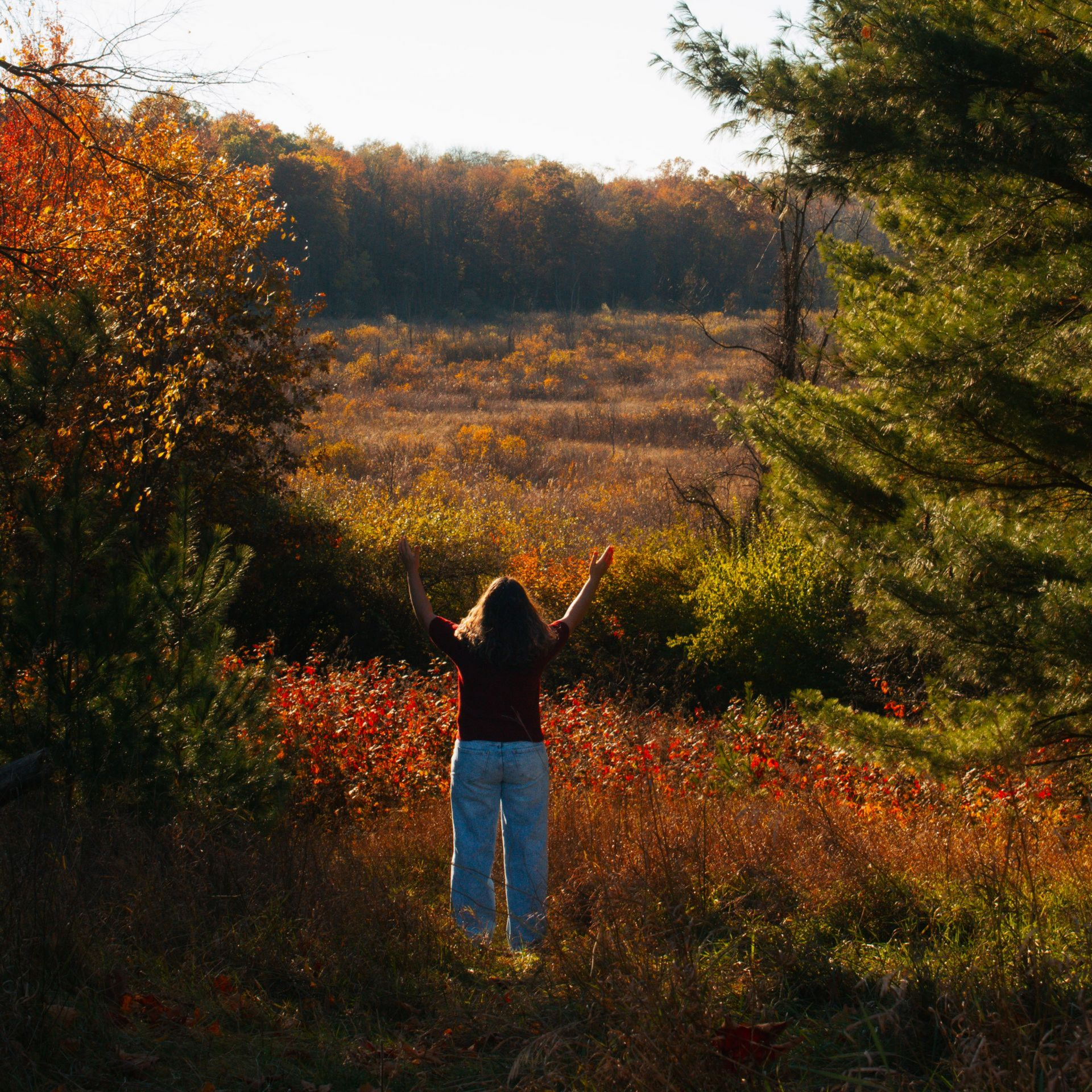 Woman with arms raised in a field of colorful autumn foliage, surrounded by trees.